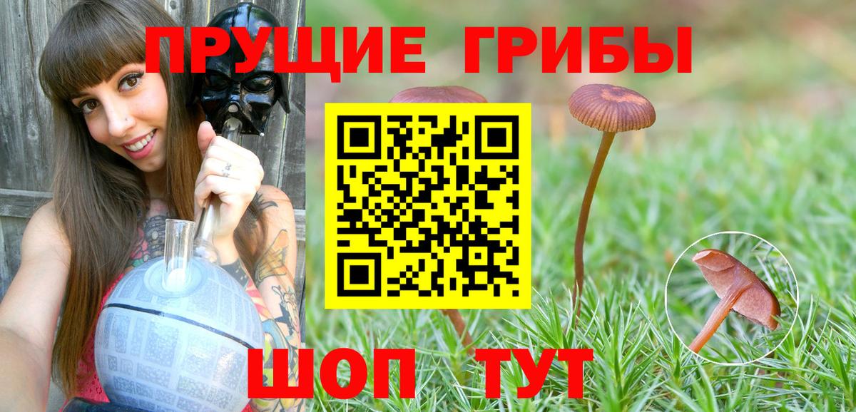 Великий Устюг  Псилоцибиновые грибы ЛСД  Вход с VPN 